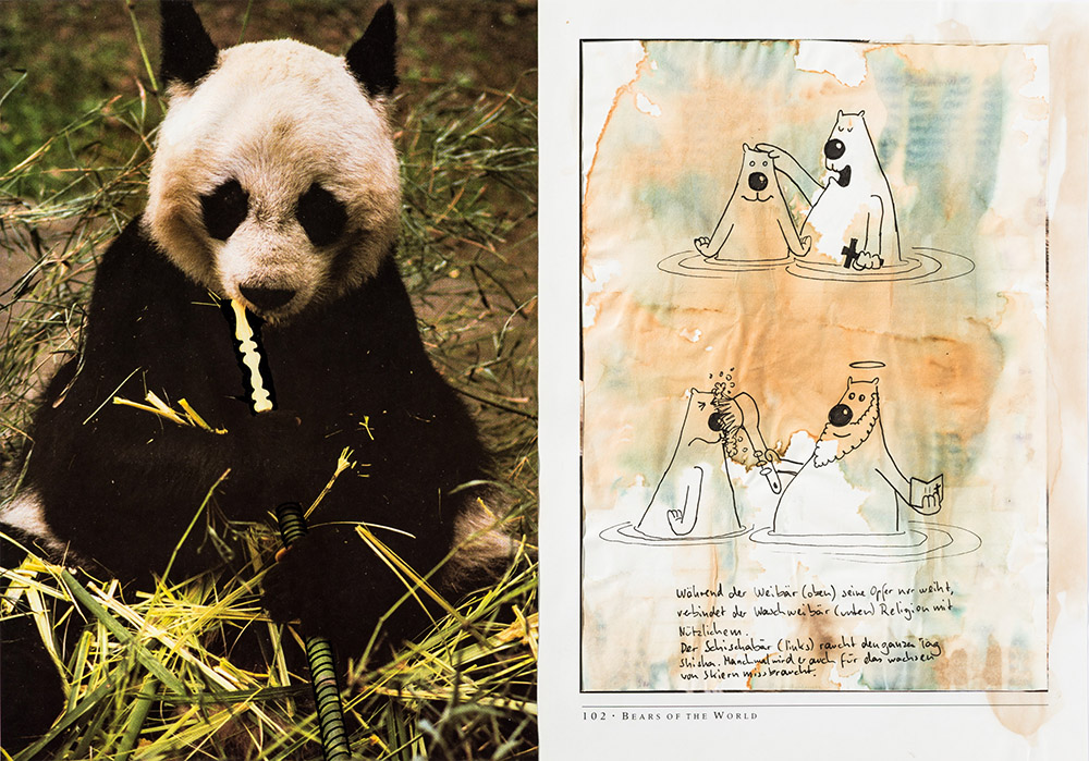 Buchseiten mit Shishabär und Weibär - Das Bärenbuch ist ein ausgefallenes und besonderes Geschenk mit vielen Wortwitzen, Illustrationen und Cartoons für die ganze Familie.